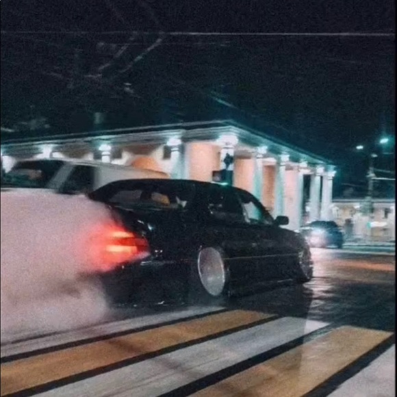 Meet your Posher, Logan - Picture 1 of 1